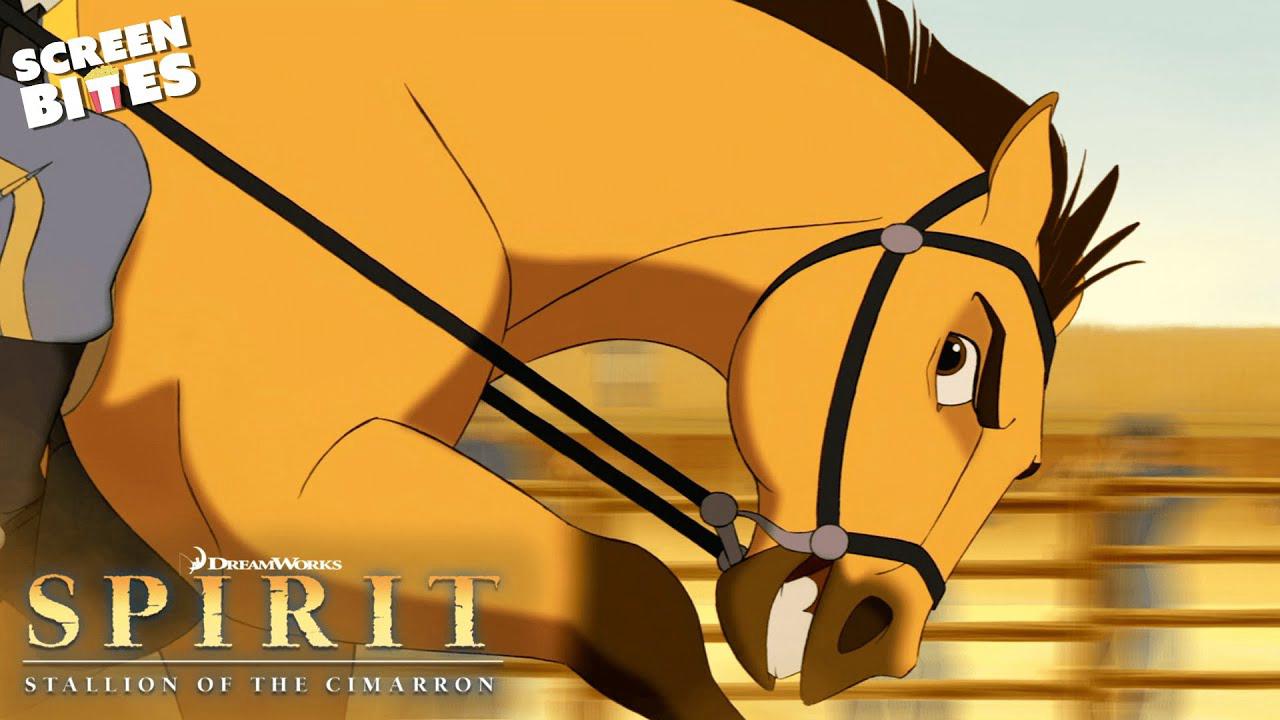 poster Tuấn Mã Dòng Cimarron Spirit: Stallion of the Cimarron