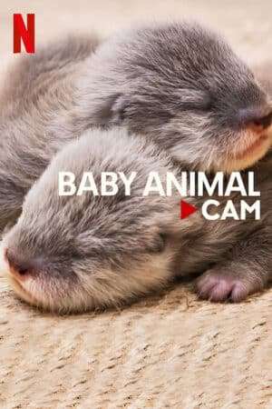 Thumber Động vật bé cưng trên camera