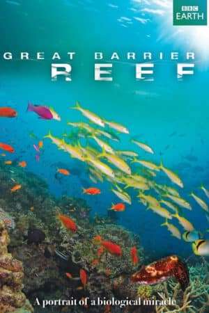 Thumber Great Barrier Reef