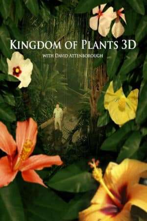 Thumber Kingdom of Plants