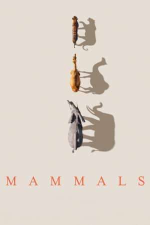 Thumber Mammals (2024)