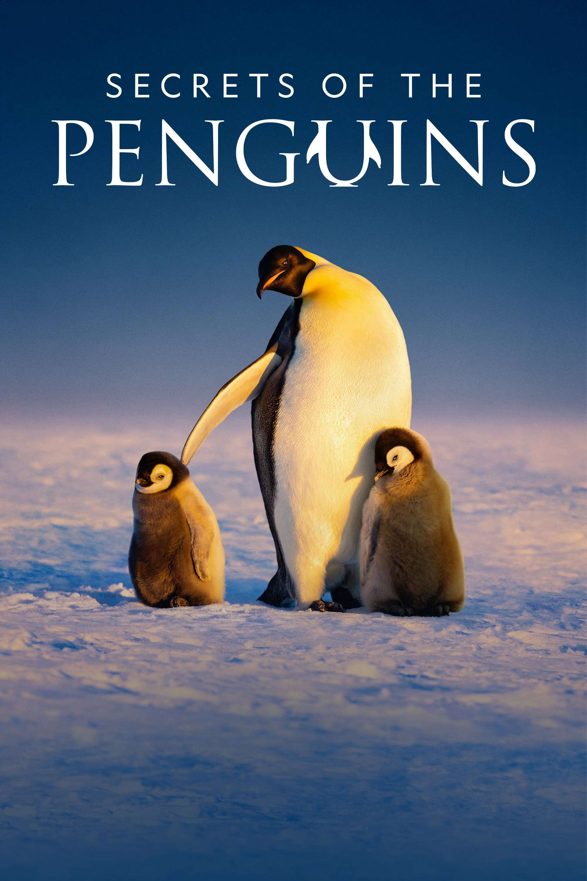 Thumber Secrets of the Penguins