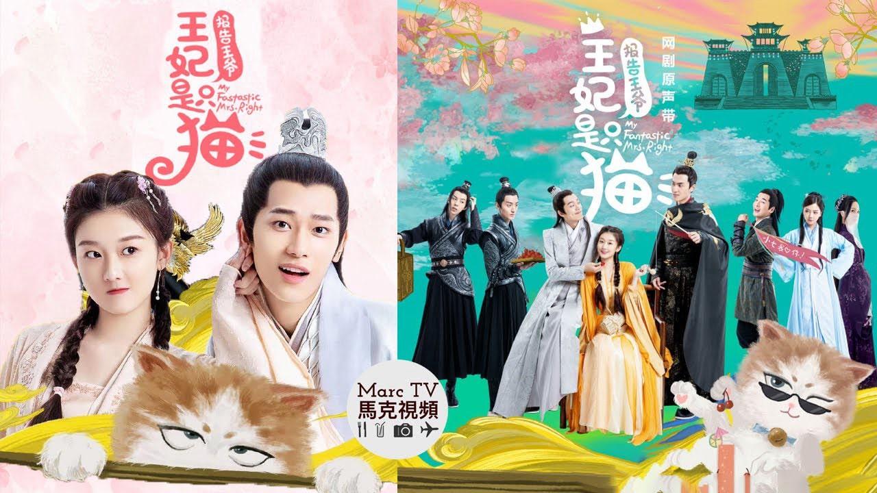 poster Báo Cáo Vương Gia Vương Phi Là Một Con Mèo My Fantastic Mrs Right