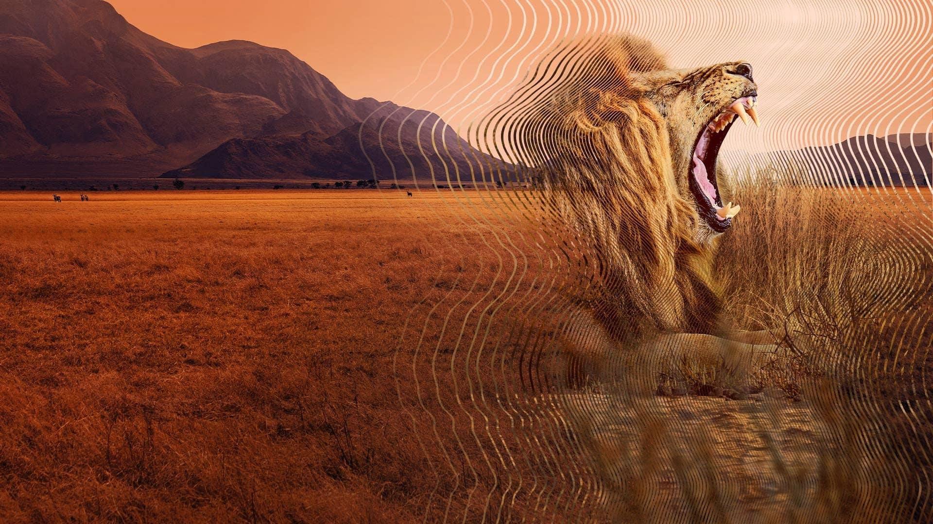 poster David Attenborough: Thế giới bí mật của âm thanh Secret World of Sound