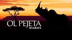 poster Khu Bảo Tồn Ol Pejeta Châu Phi (Phần 1) Ol Pejeta Diaries