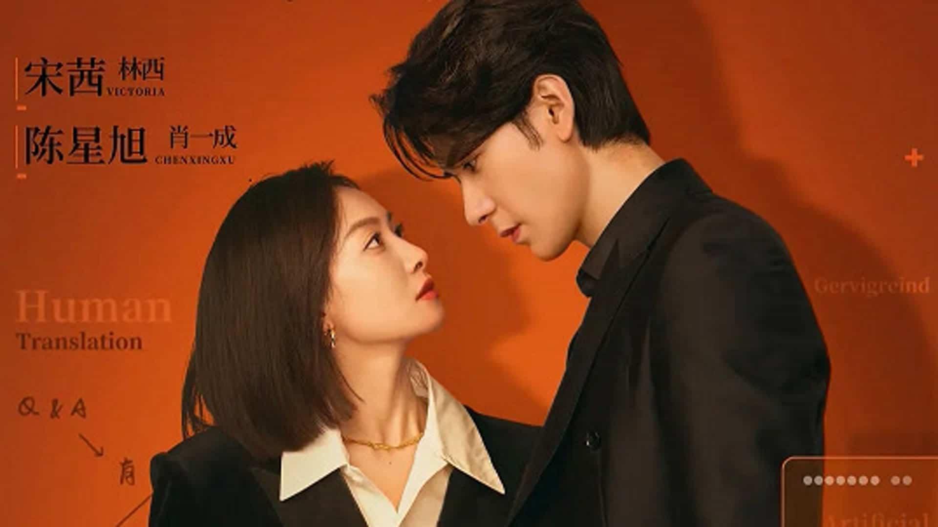 poster Người Phiên Dịch Của Chúng Tôi Our Interpreter