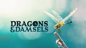 poster Loài Chuồn Chuồn Dragons and Damsels