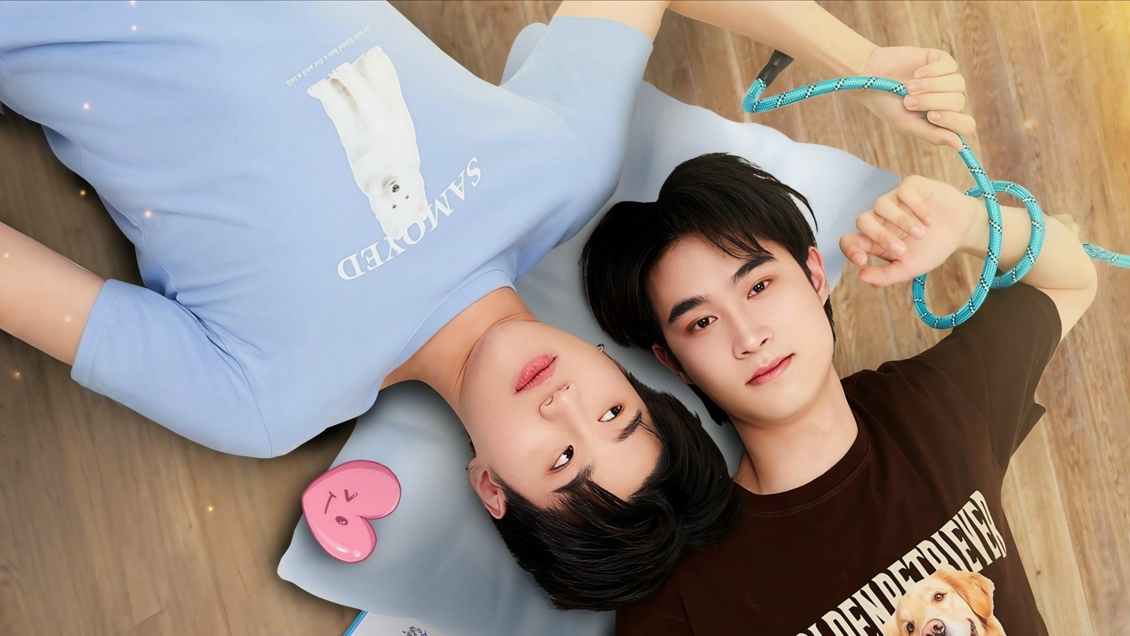 poster Phải Lòng Cún Con DogBro